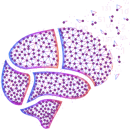 brain